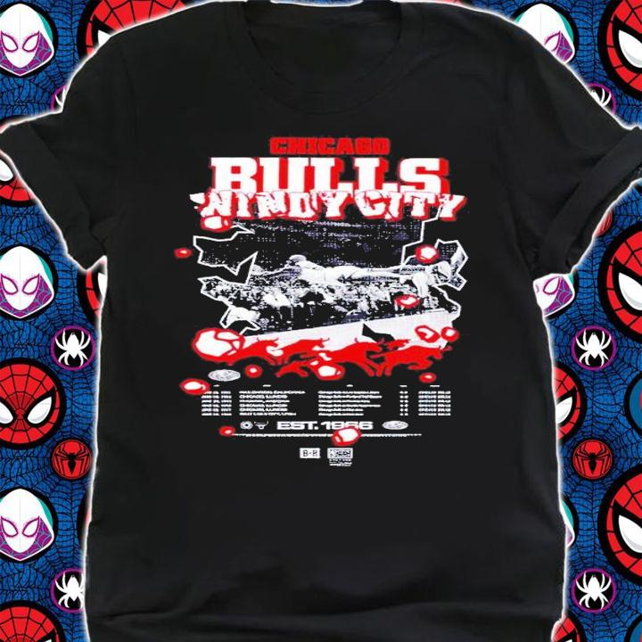 Chicago Bulls windy city World Tour shirt t-shirt shirt
