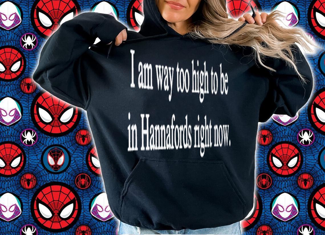 I am way too high to be in hannafords right now shirt t-shirt hoodie