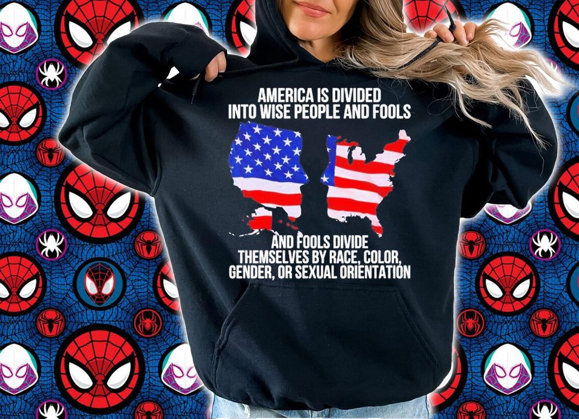 America is divided into wise people and fools and fools divide shirt t-shirt