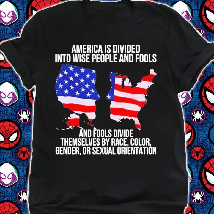 America is divided into wise people and fools and fools divide shirt t-shirt