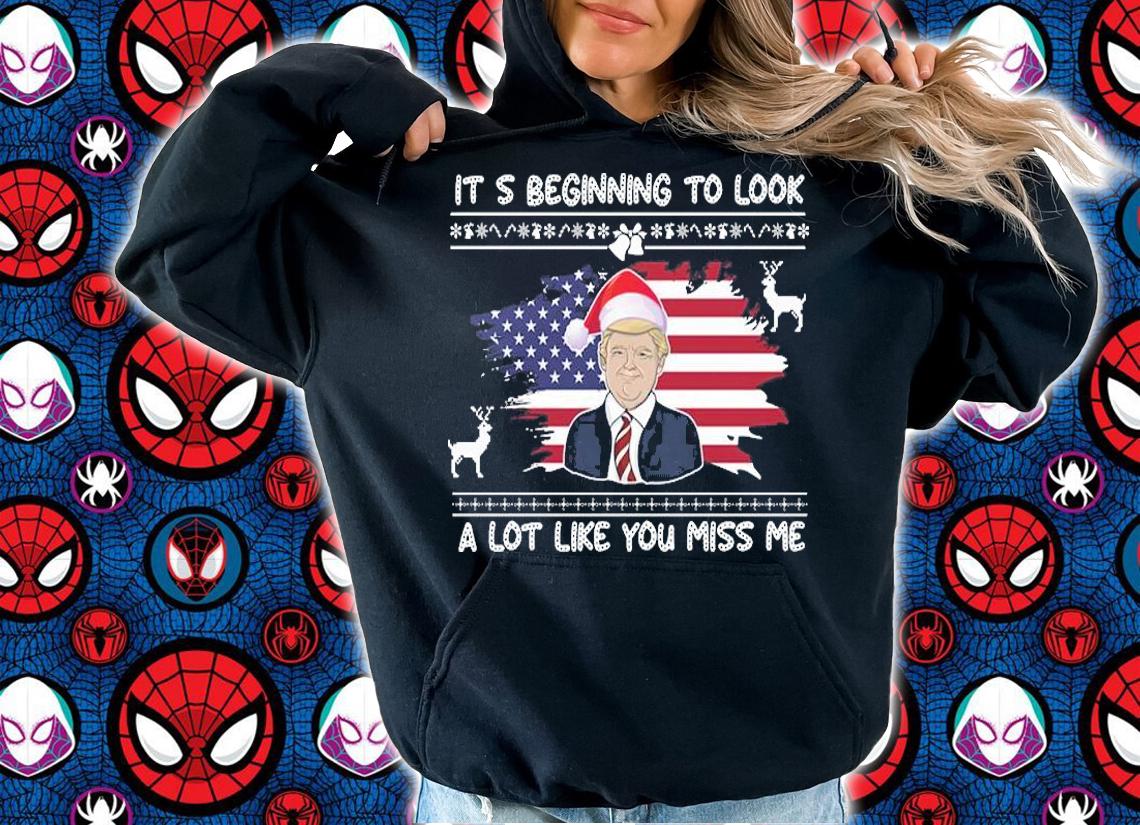 It's Beginning To Look A Lot Like You Miss Me T-shirt t-shirt