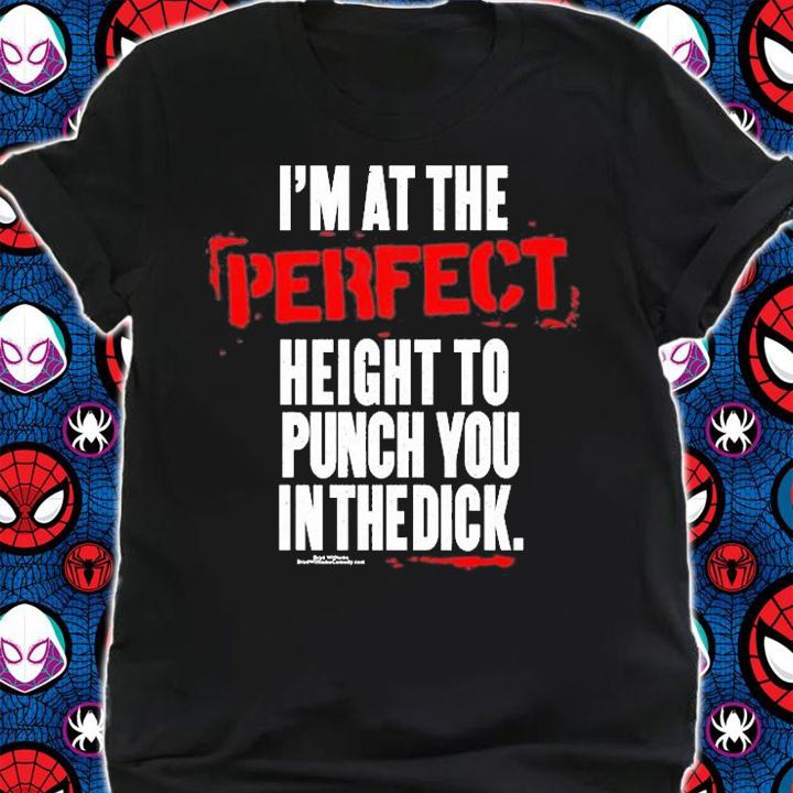 Im At The Perfect Height To Punch You In The Dick T-Shirt