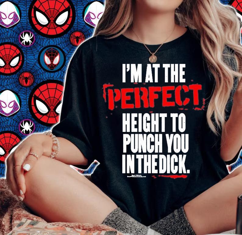 Im At The Perfect Height To Punch You In The Dick T-Shirt